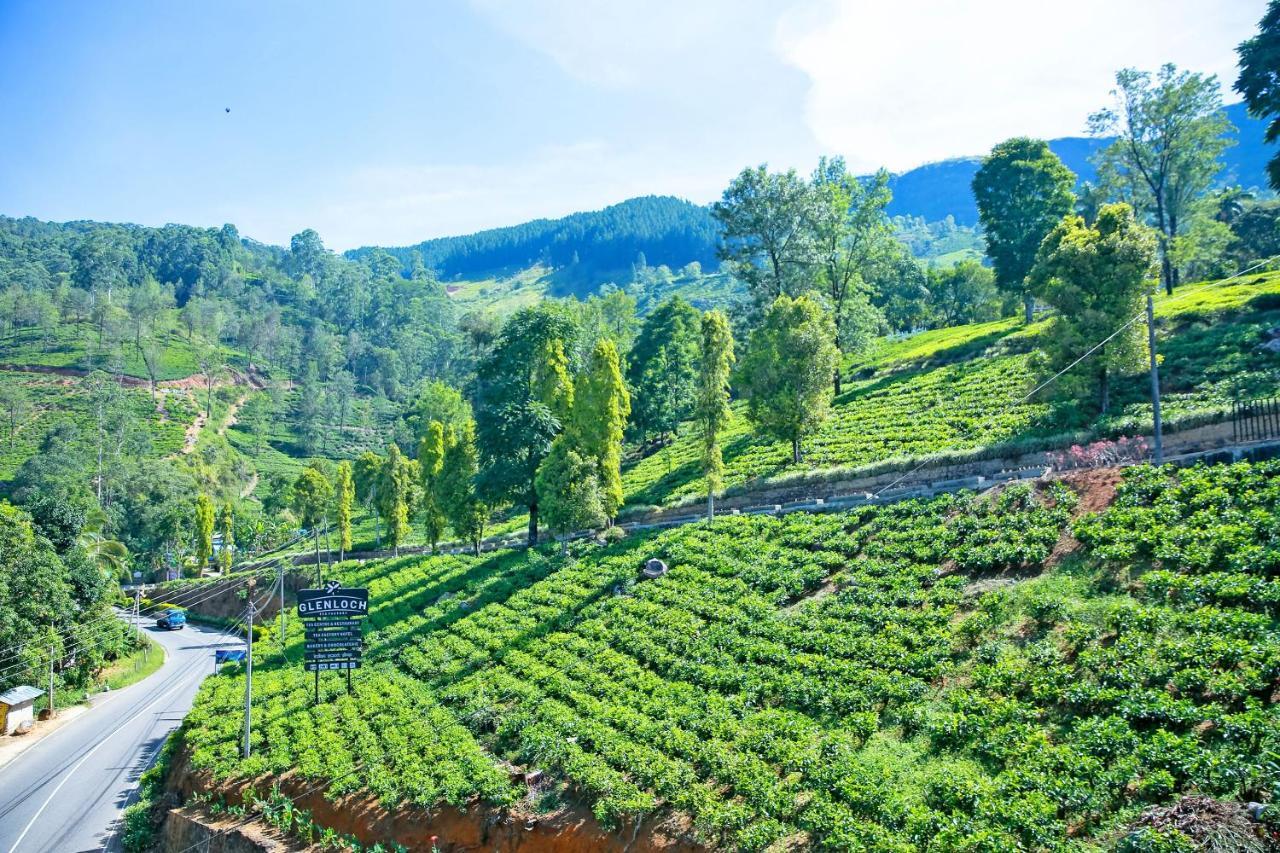 Glenloch Tea Factory Hotel Ramboda Esterno foto